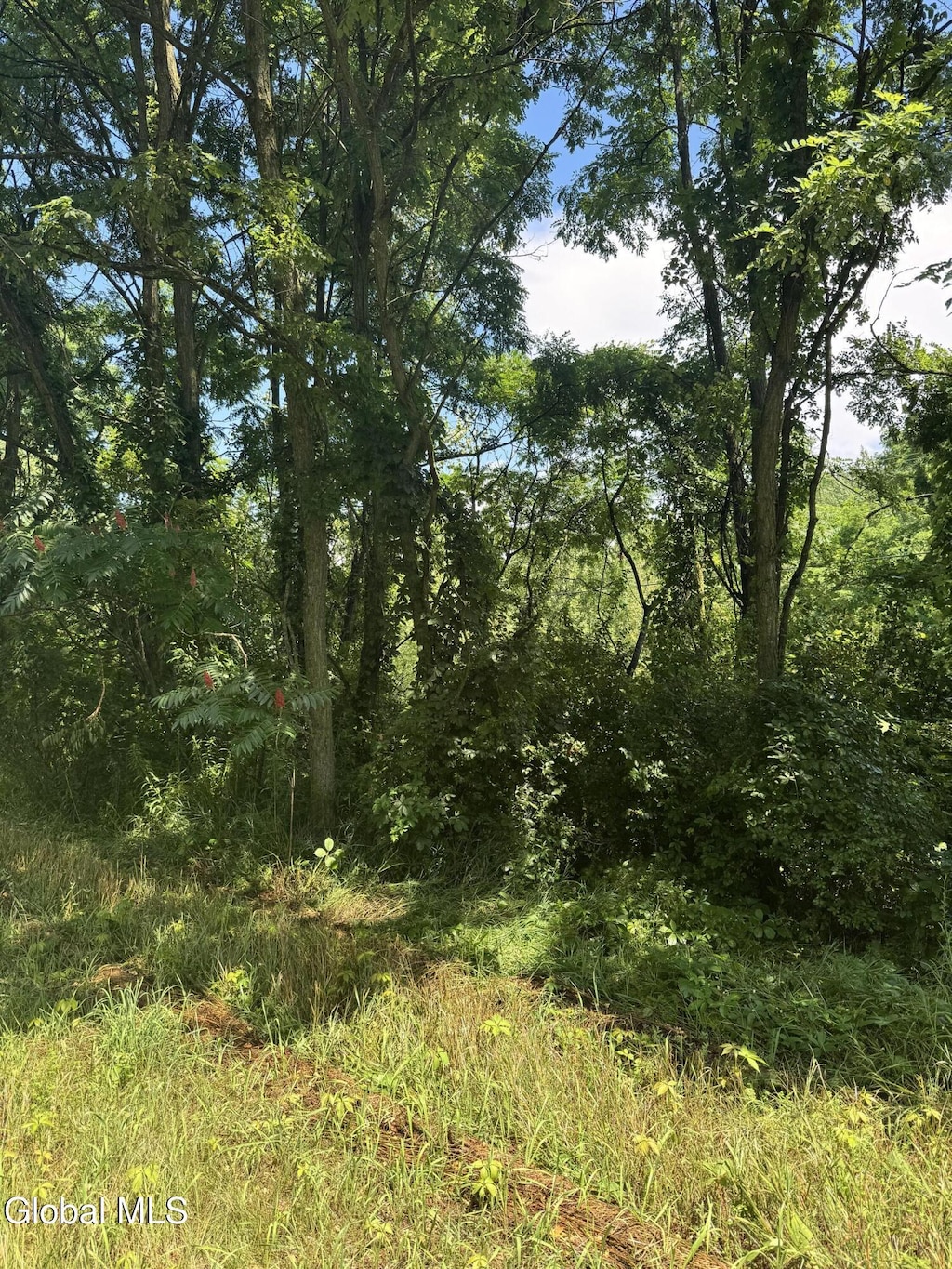 L27.4 Coach Rd, Argyle, NY 12809 - photo 3