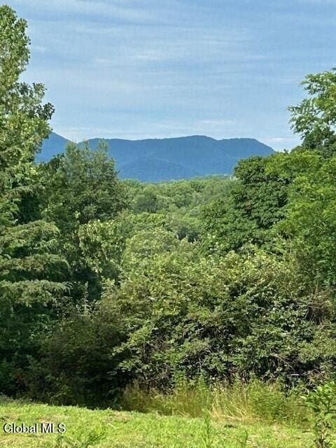 7399 State Route 149, Granville, NY 12832 - photo 1