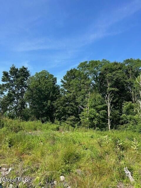 7399 State Route 149, Granville, NY 12832 - photo 15