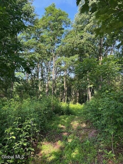 7399 State Route 149, Granville, NY 12832 - photo 16