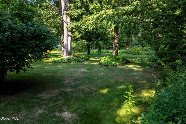 24 Placid Ln, Bethlehem, NY 12077 - photo 34