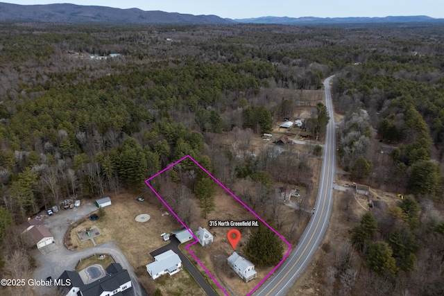 315 N Greenfield Rd, Greenfield, NY 12859 - photo 2