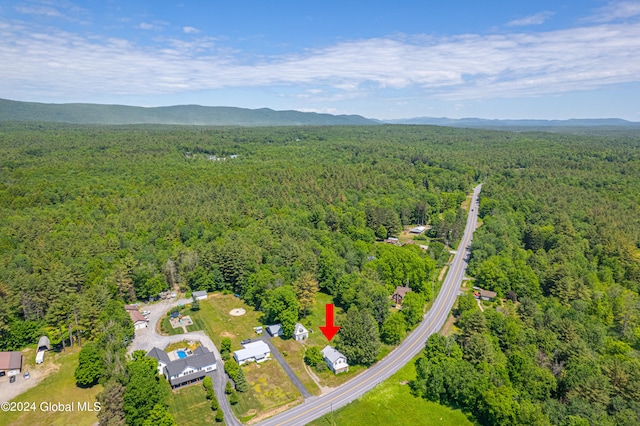 315 N Greenfield Rd, Greenfield, NY 12859 - photo 4