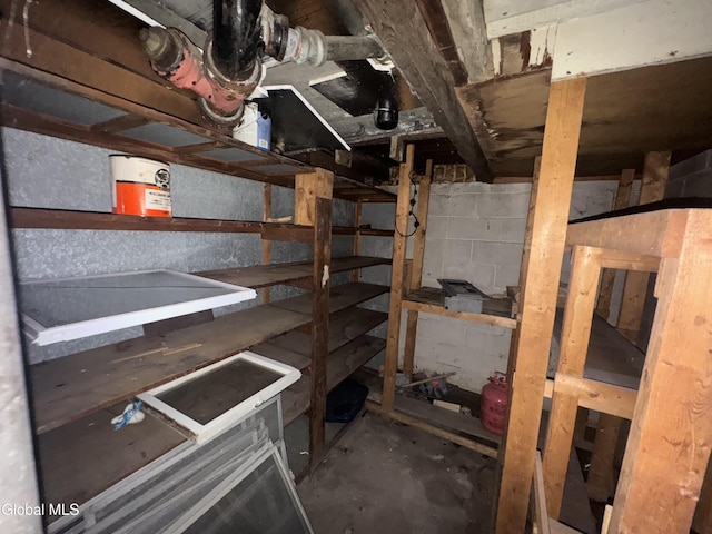 261 Altamont Ave, Schenectady, NY 12304 - view of storage