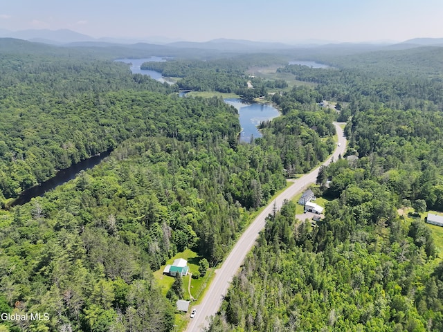 5814 State Route 28n, Newcomb, NY 12852 - photo 7