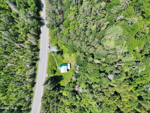 5814 State Route 28n, Newcomb, NY 12852 - photo 4