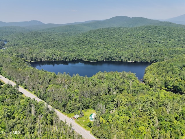 5814 State Route 28n, Newcomb, NY 12852 - photo 8