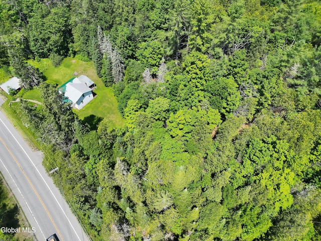 5814 State Route 28n, Newcomb, NY 12852 - photo 6
