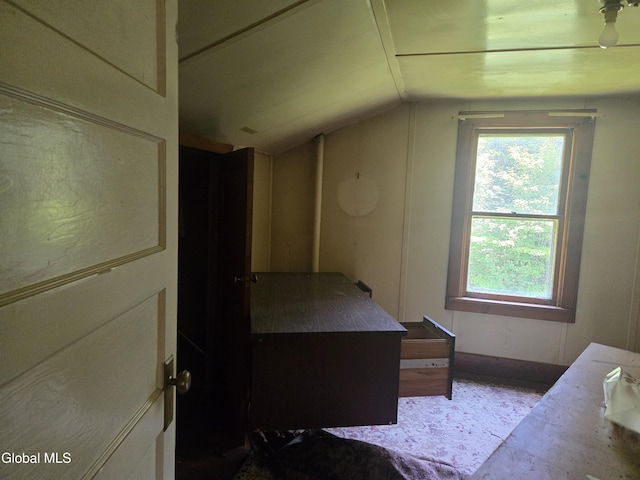 5814 State Route 28n, Newcomb, NY 12852 - photo 22