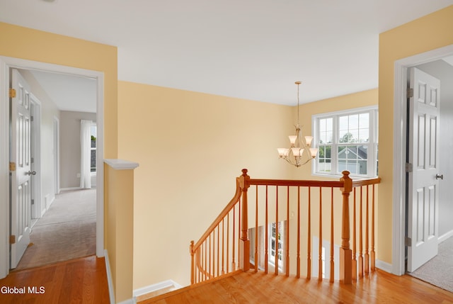121 Bridle Path, Bethlehem, NY 12158 - photo 40