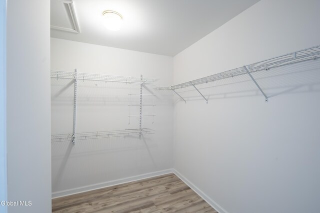 69 Mary Hadge Dr, Colonie, NY 12309 - photo 62