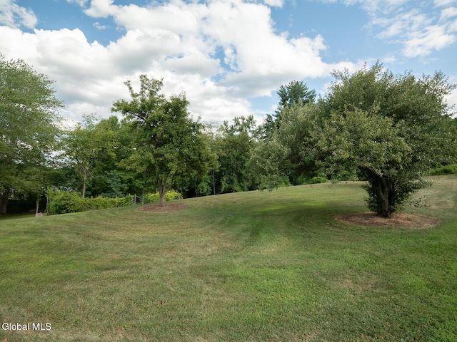 308 County Route 28b, Valatie, NY 12184 - photo 45