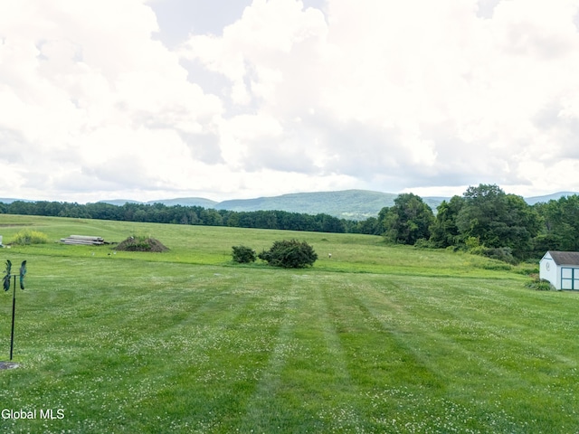 298 Myers Rd, Cobleskill, NY 12092 - photo 40