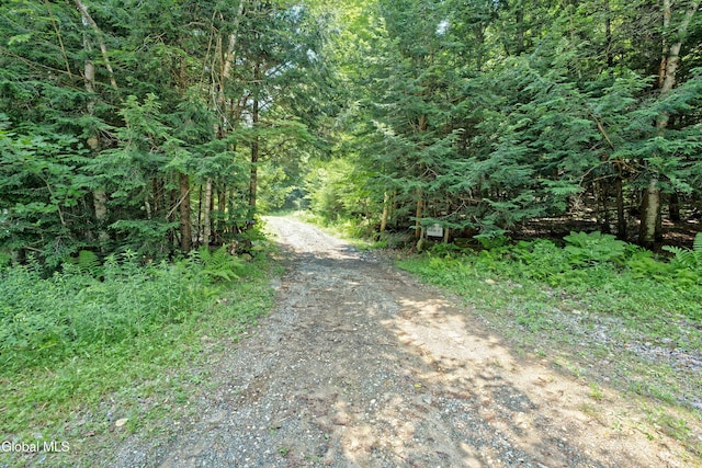 110 Hudson St, Johnsburg, NY 12843 - photo 3