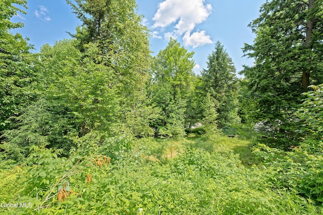 110 Hudson St, Johnsburg, NY 12843 - photo 18