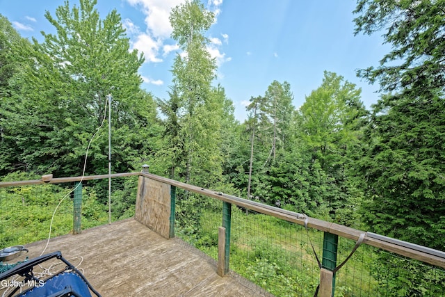110 Hudson St, Johnsburg, NY 12843 - photo 20