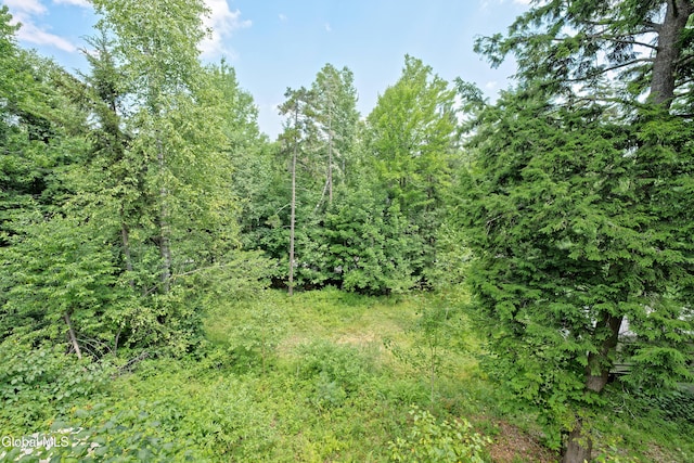 110 Hudson St, Johnsburg, NY 12843 - photo 21