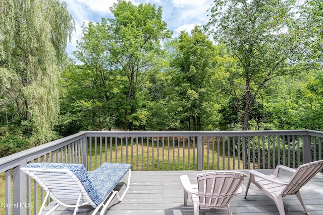 19 Harrisburg Rd, Stony Creek, NY 12878 - photo 27