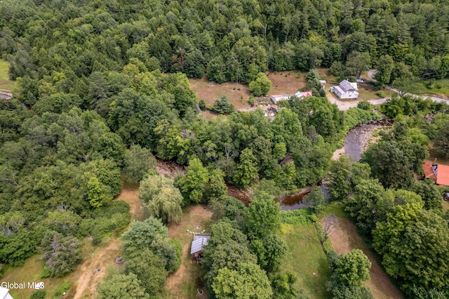 19 Harrisburg Rd, Stony Creek, NY 12878 - photo 33