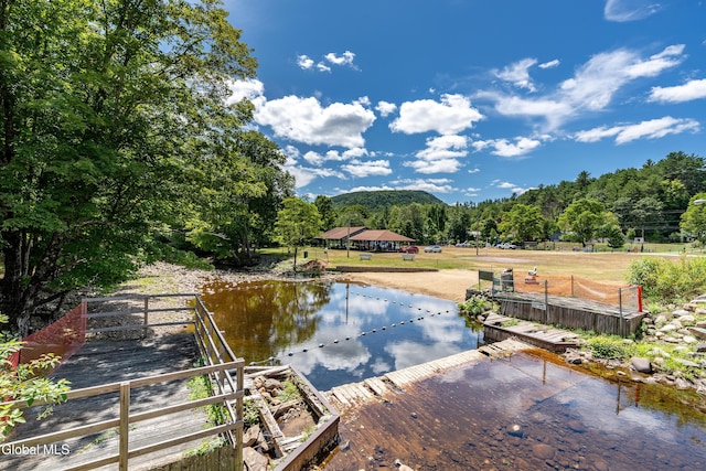 19 Harrisburg Rd, Stony Creek, NY 12878 - photo 39