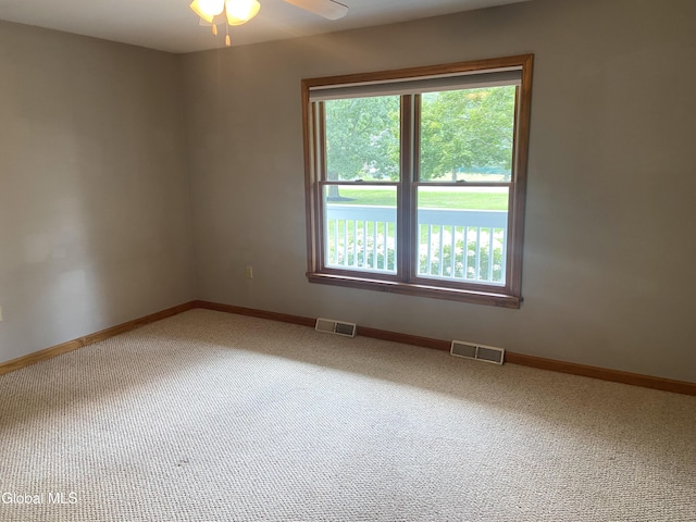 41 Carolyn Rd, Schodack, NY 12184 - photo 30