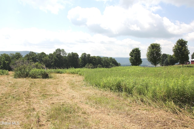 286 Myers Rd, Cobleskill, NY 12092 - photo 8