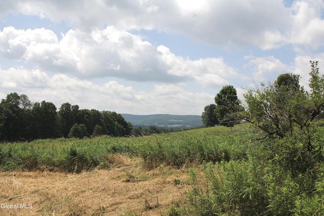 286 Myers Rd, Cobleskill, NY 12092 - photo 4