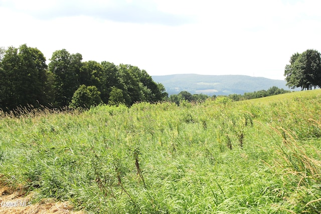 286 Myers Rd, Cobleskill, NY 12092 - photo 6