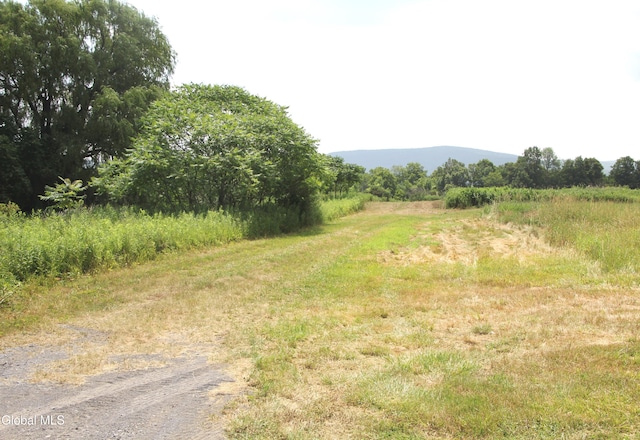 286 Myers Rd, Cobleskill, NY 12092 - photo 5