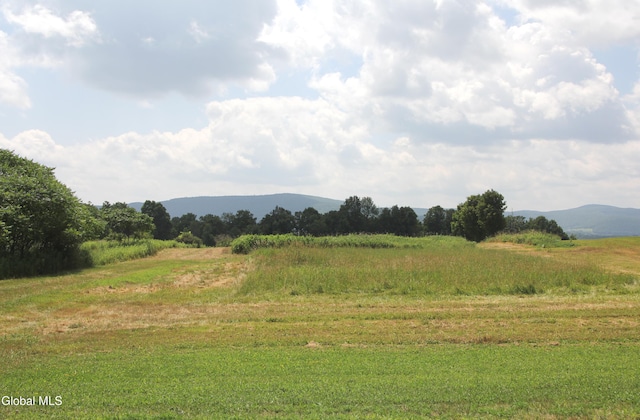 286 Myers Rd, Cobleskill, NY 12092 - photo 7