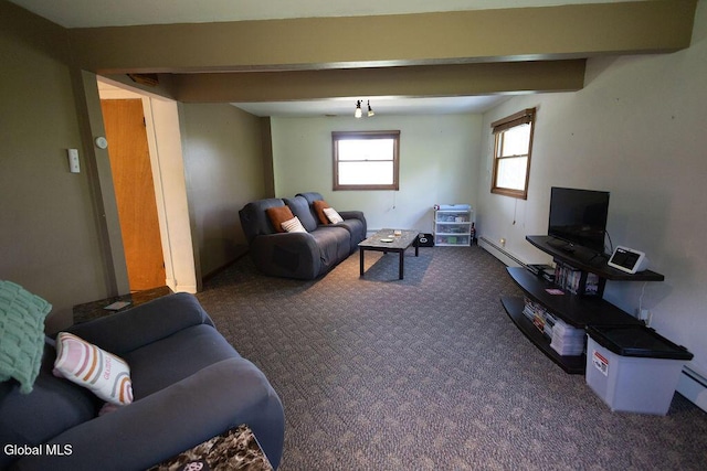 242 Salsburg Rd, Duanesburg, NY 12053 - photo 30