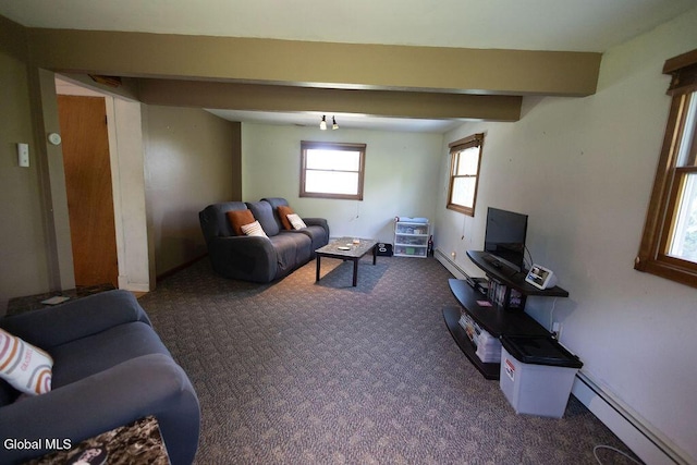 242 Salsburg Rd, Duanesburg, NY 12053 - photo 33