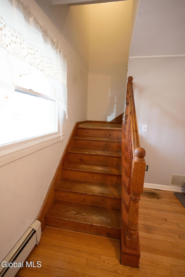 242 Salsburg Rd, Duanesburg, NY 12053 - photo 34