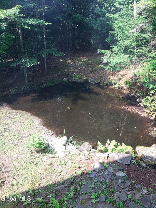 678 Dippikill Rd, Thurman, NY 12885 - photo 13