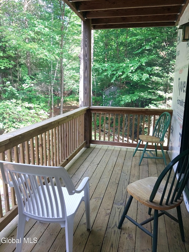 678 Dippikill Rd, Thurman, NY 12885 - photo 14