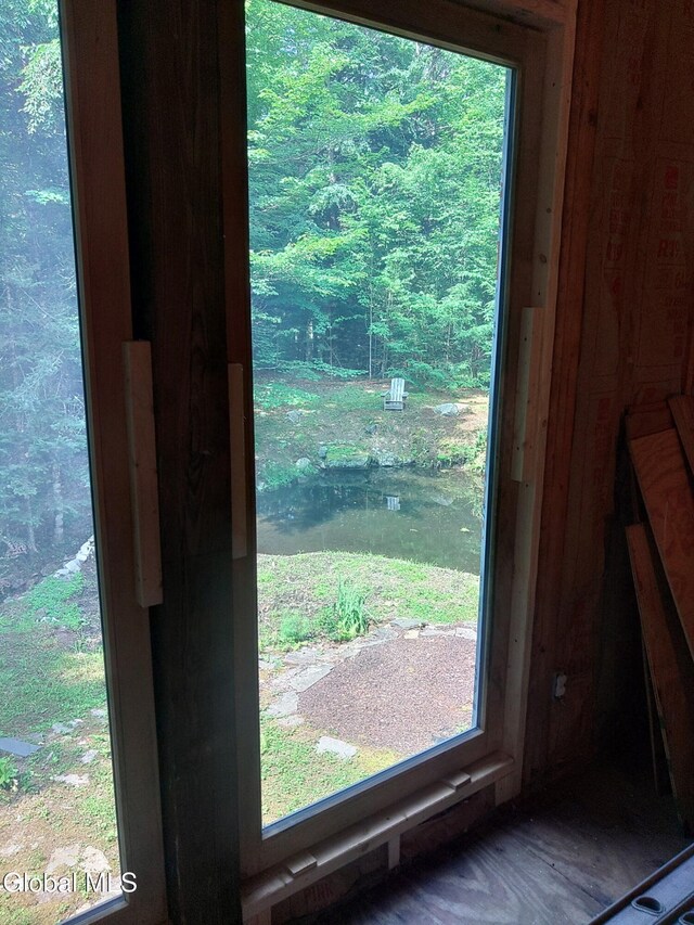 678 Dippikill Rd, Thurman, NY 12885 - photo 18