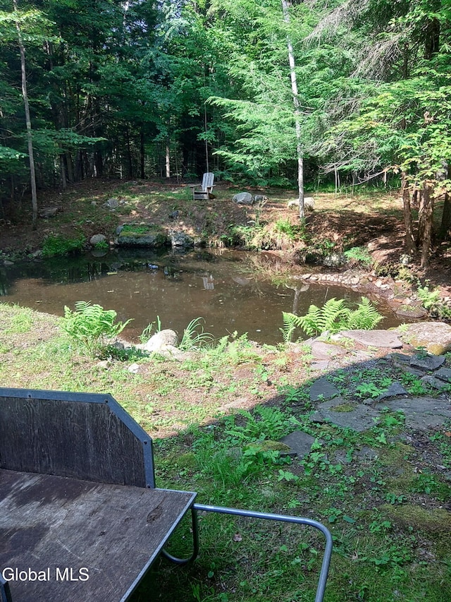678 Dippikill Rd, Thurman, NY 12885 - photo 71