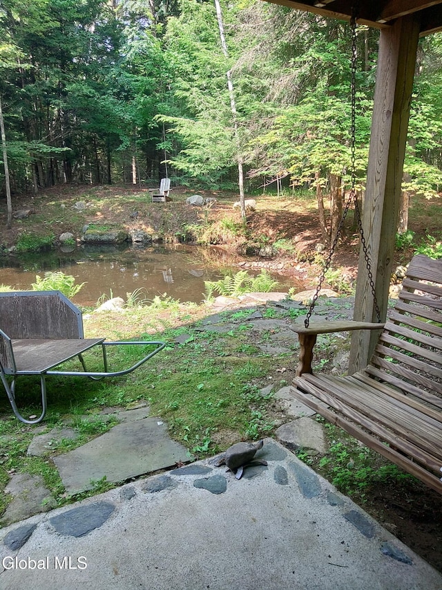678 Dippikill Rd, Thurman, NY 12885 - photo 73