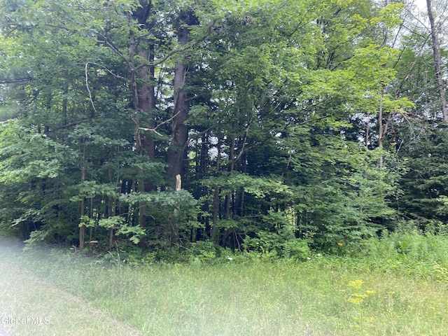 L43 State Highway 67, Ephratah, NY 13339 - photo 8
