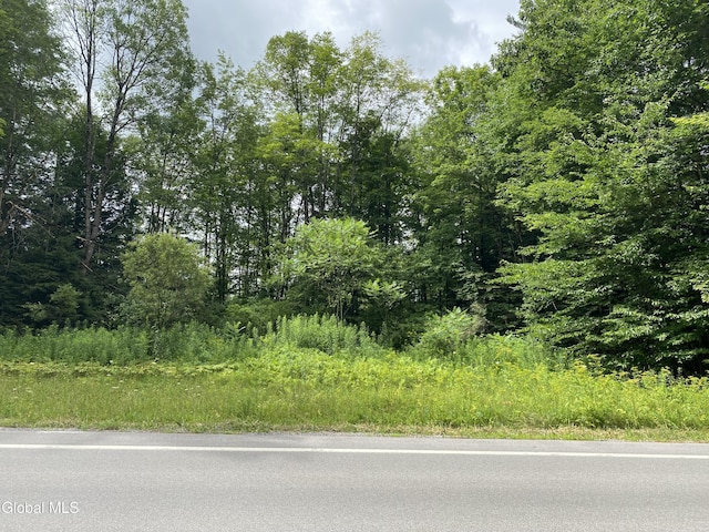 L43 State Highway 67, Ephratah, NY 13339 - photo 1