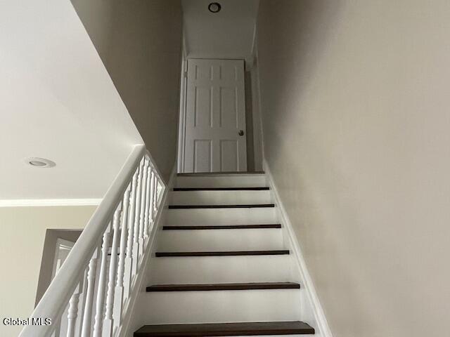 1037 Roberta Rd, Rotterdam, NY 12303 - photo 37