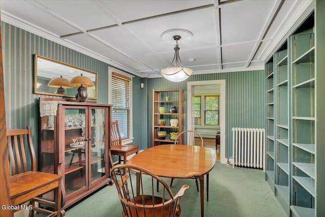 18 Gaffney Ln, Kinderhook, NY 12106 - photo 19