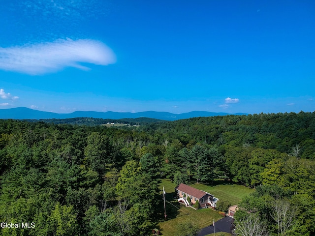 175 Gifford Rd, Westerlo, NY 12083 - photo 2