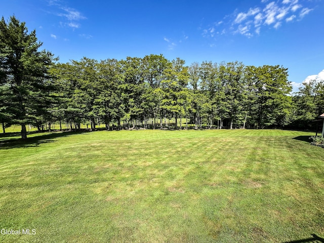 175 Gifford Rd, Westerlo, NY 12083 - photo 18