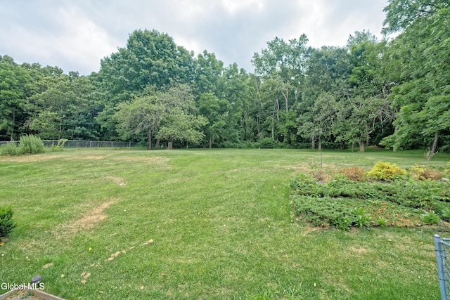 33 Fonda Rd, Waterford, NY 12188 - photo 66