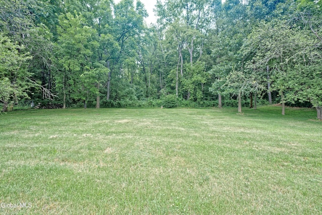 33 Fonda Rd, Waterford, NY 12188 - photo 67