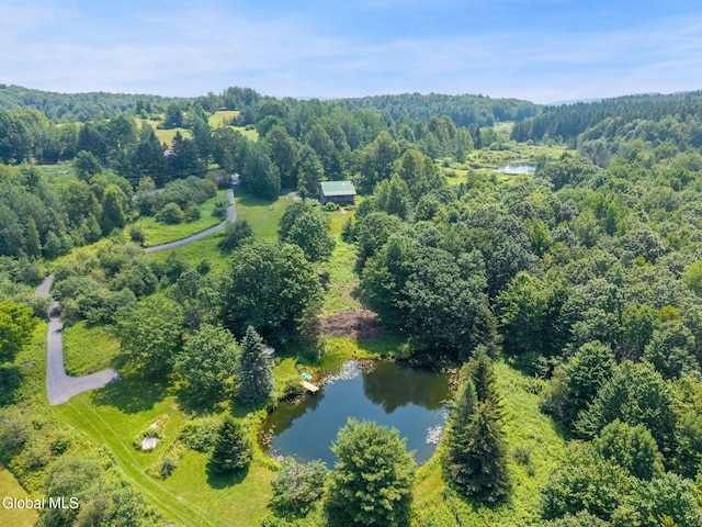 267 Cross Hill Rd, Richmondville, NY 12149 - photo 31