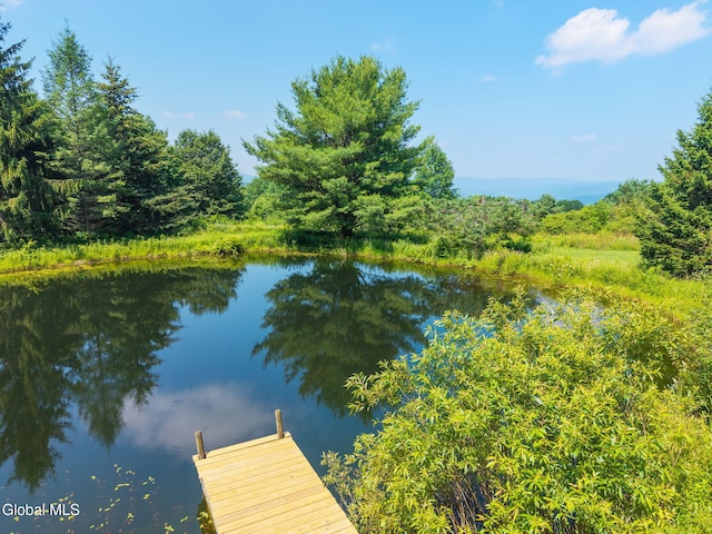 267 Cross Hill Rd, Richmondville, NY 12149 - photo 5