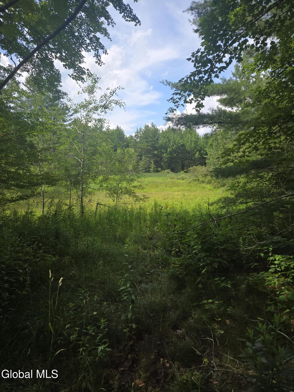 120 Whitetail Rd, Conesville, NY 12076 - photo 2