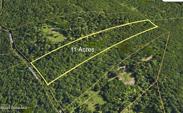 L3.2 Black River Rd, Stephentown, NY 12169 - photo 1